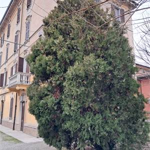 Ufficio In Affitto a Modena